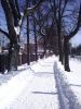 Zima w marcu - Zwierzyniec 16. 03. 2013 (Fot. Małgorzata Wszoła)